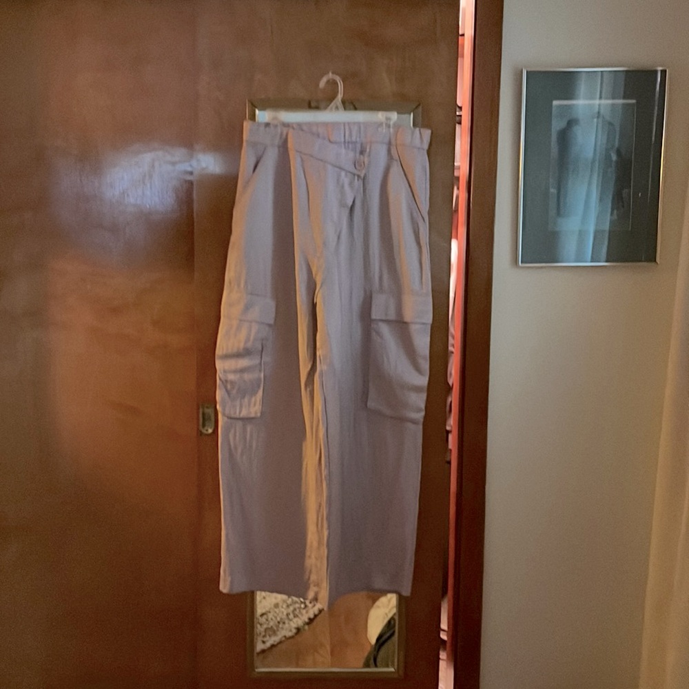 Zara oversized wide legged pants lavender in color.